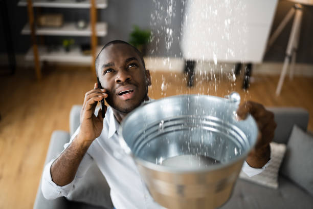 Best Ceiling water damage repair  in Fredericksburg, PA
