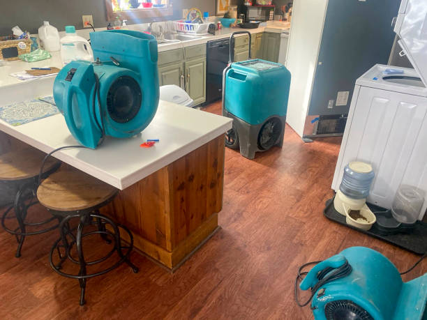 Best Water damage restoration process  in Fredericksburg, PA
