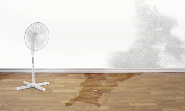 Best Professional water damage repair  in Fredericksburg, PA