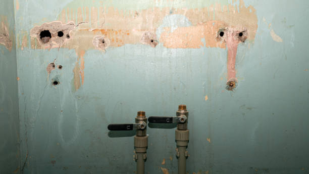 Best Sewage cleanup and water damage restoration  in Fredericksburg, PA